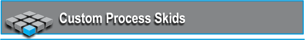 Custom Process Skids